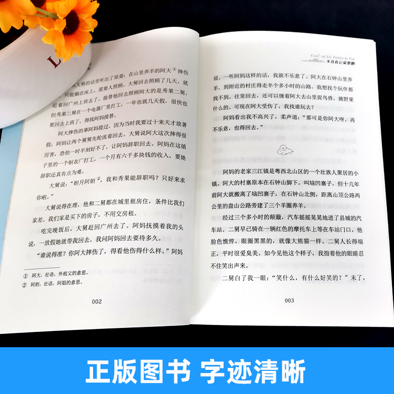 羊儿在云朵里跑 [正版]2022贵州双月阅读二升三年级羊儿在云朵里跑曹文轩儿童小说奖书系 梁贻明著三四五六年级小学生课外高清大图