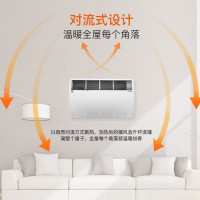 德国斯宝亚创(STIEBEL ELTRON) 取暖器 CON30S 2900W 家用 浴室 电暖气 节能 低音
