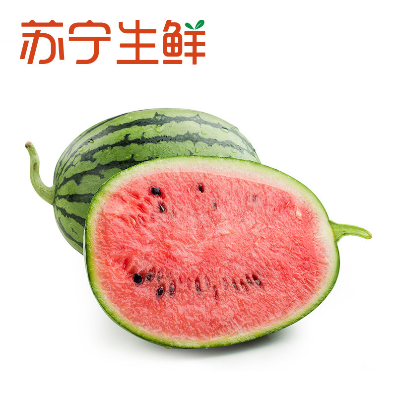 [苏宁生鲜]北京大兴庞各庄袖珍西瓜1个1.4kg以上/个