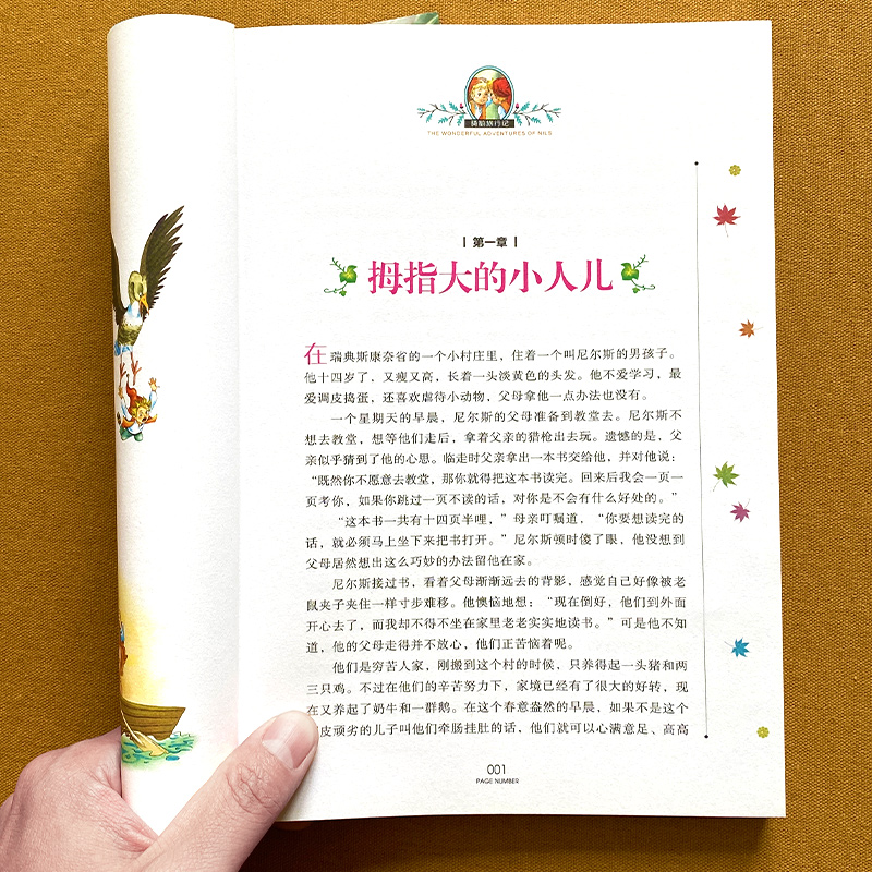 骑鹅旅行记 [正版]国际大奖骑鹅旅行记高清大图