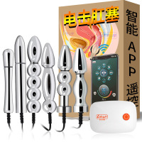 乐乐窝（lelewo） 智能APP无线遥控USB充电金属后庭按摩肛塞肛扩张女用男用脉冲自尉慰高潮器情趣用品sm刑_121