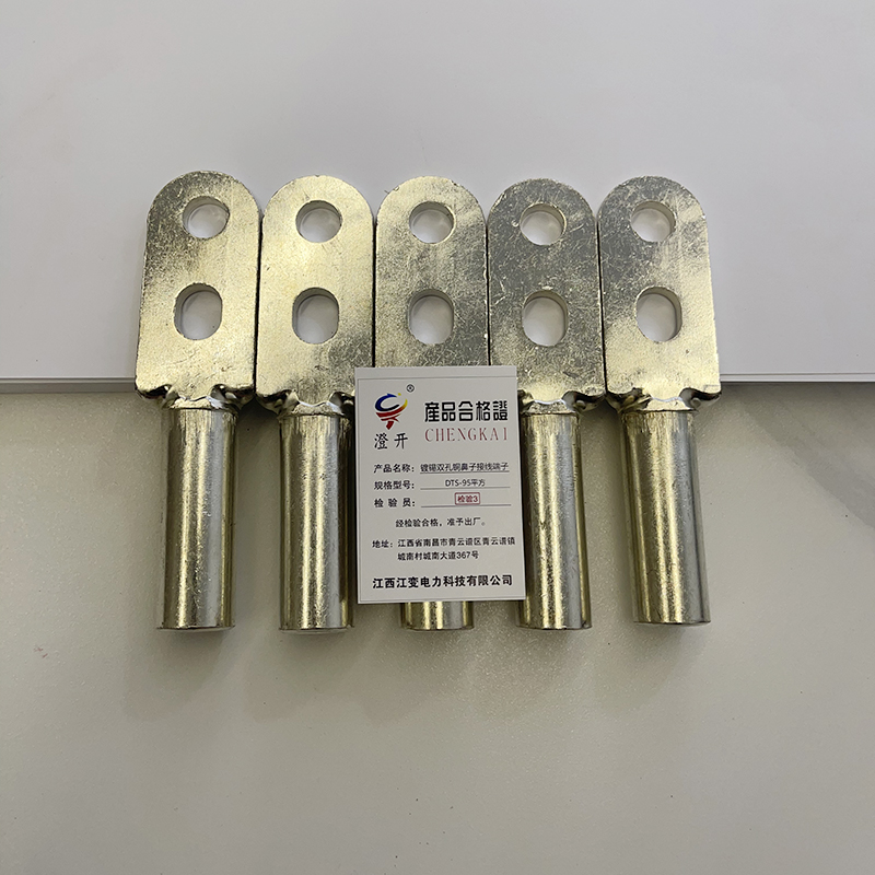 澄开 镀锡双孔铜鼻子接线端子 DTS-95平方/个高清大图