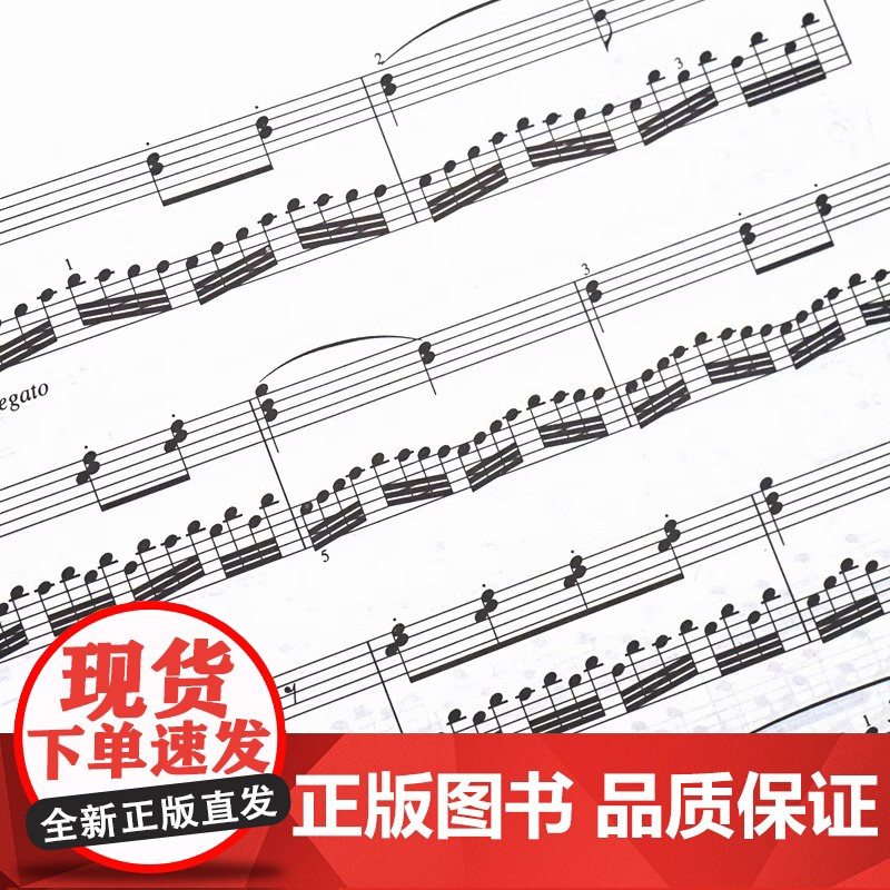 正版书籍 车尔尼钢琴初步教程 作品599 人民音乐出版社红皮书基础教程教材 初步哈农拜厄曲谱儿童少儿红皮书DIY全彩正版高清大图