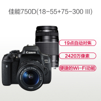 佳能(Canon) EOS 750D(18-55mm+75-300mmIII) 数码单反相机 双镜头套装 约2420万像