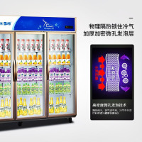 雪村(Xuecun)二门 商用冷柜 商用展示柜 冰柜 立式水果保鲜柜 超市啤酒饮料柜 陈列柜LC-1500