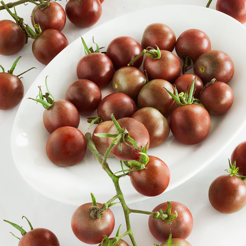 江苏乡村振兴财政集采苏米丰迷彩巧克力西红柿小番茄2kg箱4箱起订单拍