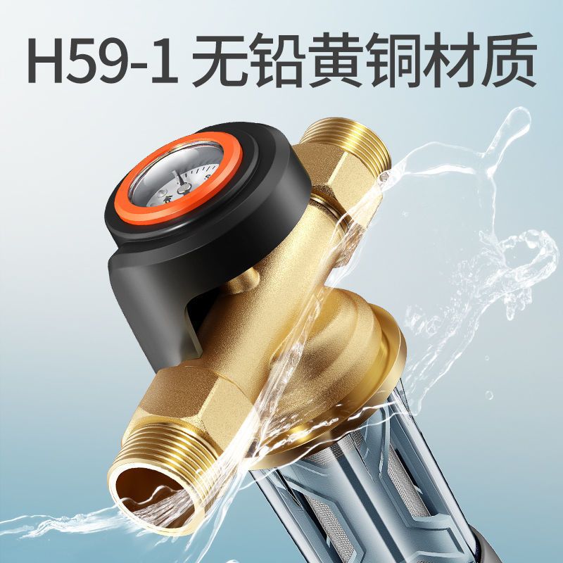 德国德克西(DEKEXI)前置净水器德国进口大流量前置过滤器反冲洗家用净水器全屋自来水过滤器DQ-2(6T)免费安装