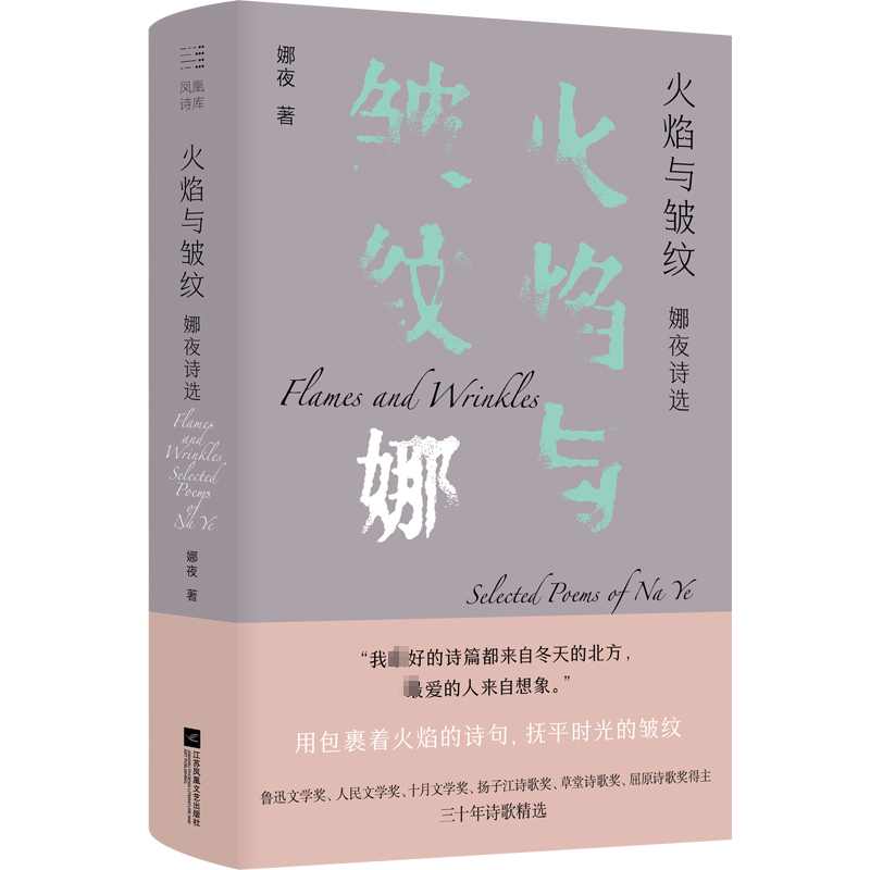 醉染图书火焰与皱纹 娜夜诗选9787559470805高清大图