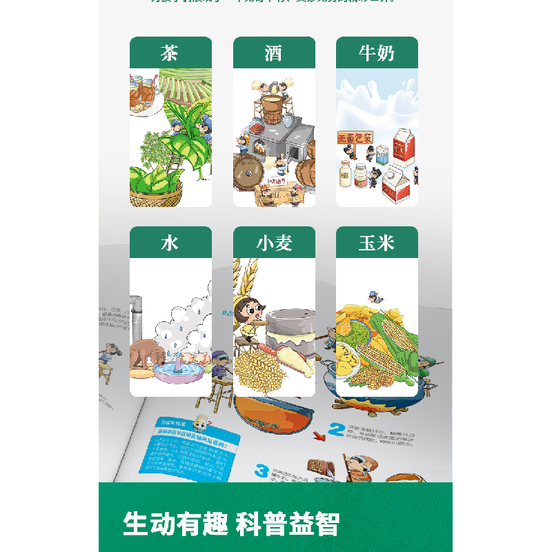 醉染图书身边的科学 万物由来(全6册)9787568270298高清大图