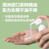 柏缇 茶树去屑洗发露(650ml)*