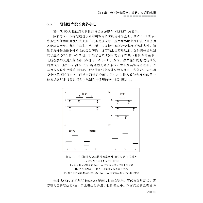 正版新书]香蕉遗传学 基因组学与育种冯慧敏9787109230989高清大图