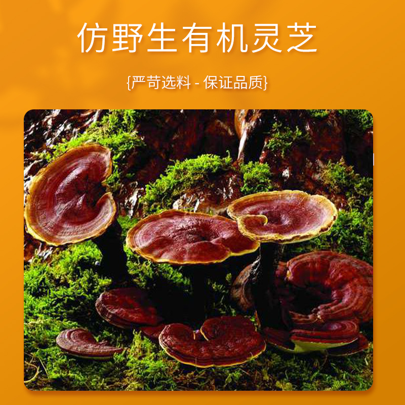 大野领御灵芝柒壶茶浓郁茶香滋补养生茶饮 56g(8g*7/盒)
