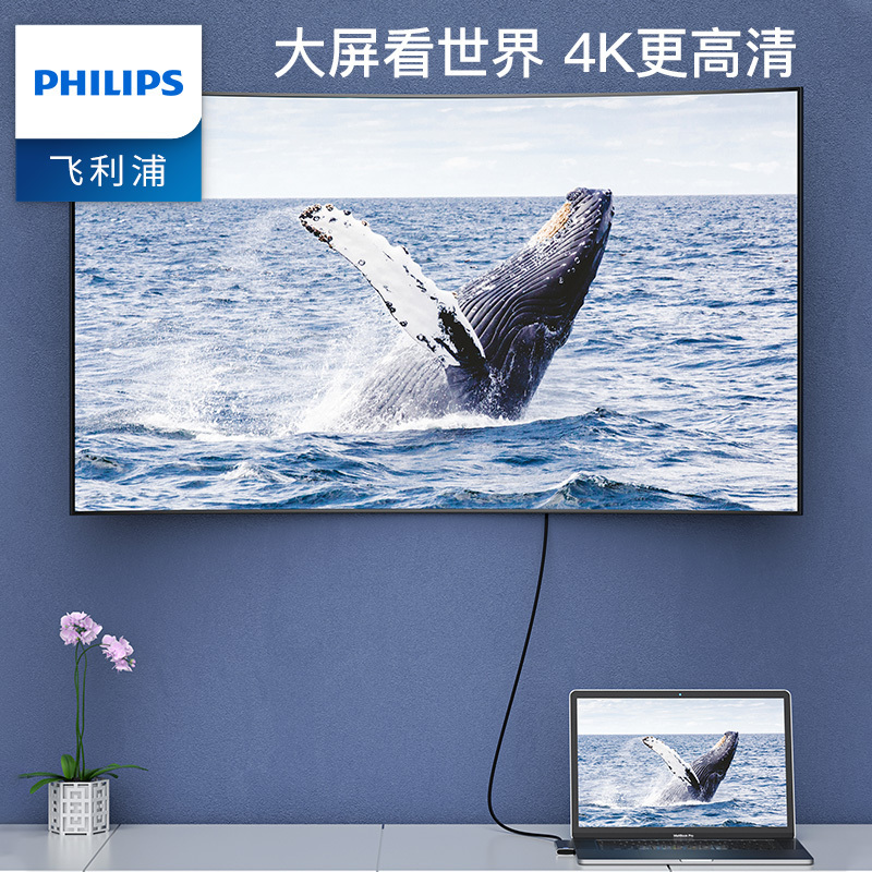 飞利浦type-c拓展坞电脑转换器 转接头笔记本扩展macbook pro苹果配件air投影仪转换器 SWR1604Q
