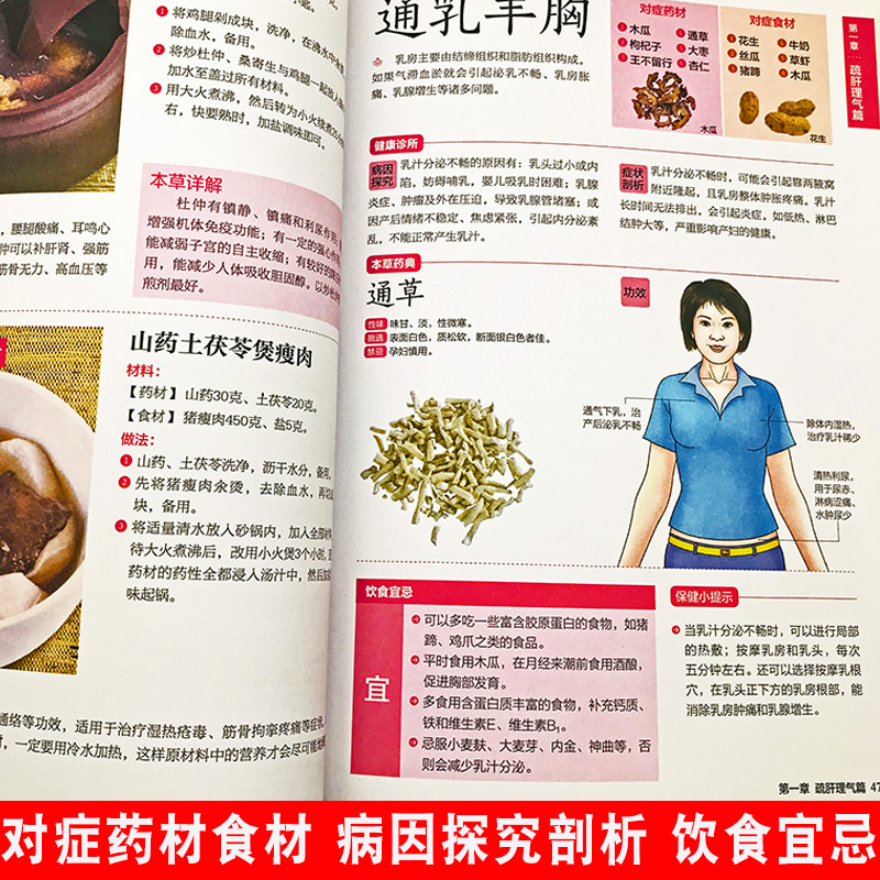 [正版]本草纲目对症药膳速查全书小中药大疗效易取材好操作对症吃病痛除防治皆宜家常病食疗养生方中药滋补对症养生药膳宝典医高清大图