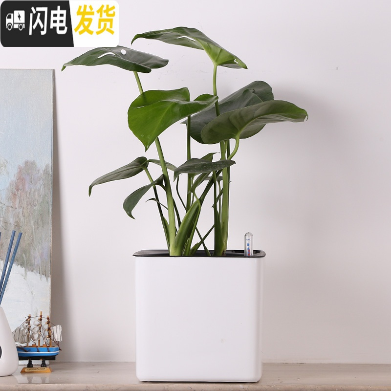三维工匠正方形树脂白色创意多肉水仙懒人自动吸水塑料大花盆绿萝吊兰 白色特大号无需棉线 小花盆容器