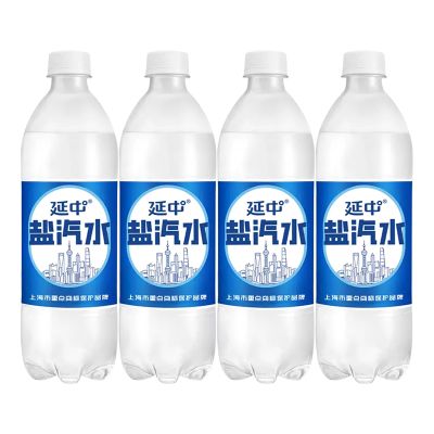 延中 盐汽水600ml*4瓶装 碳酸饮料饮品咸味汽水