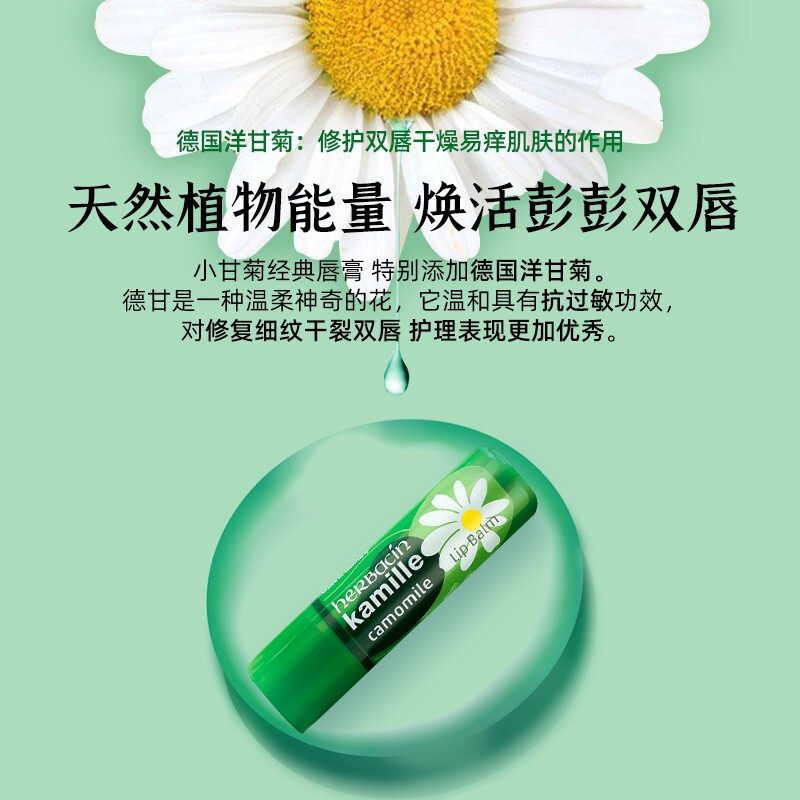 贺本清(Herbacin)小甘菊唇膏润唇膏4.8g 防止干裂滋润保湿洋甘菊小雏菊儿童可用 德国原装进口高清大图