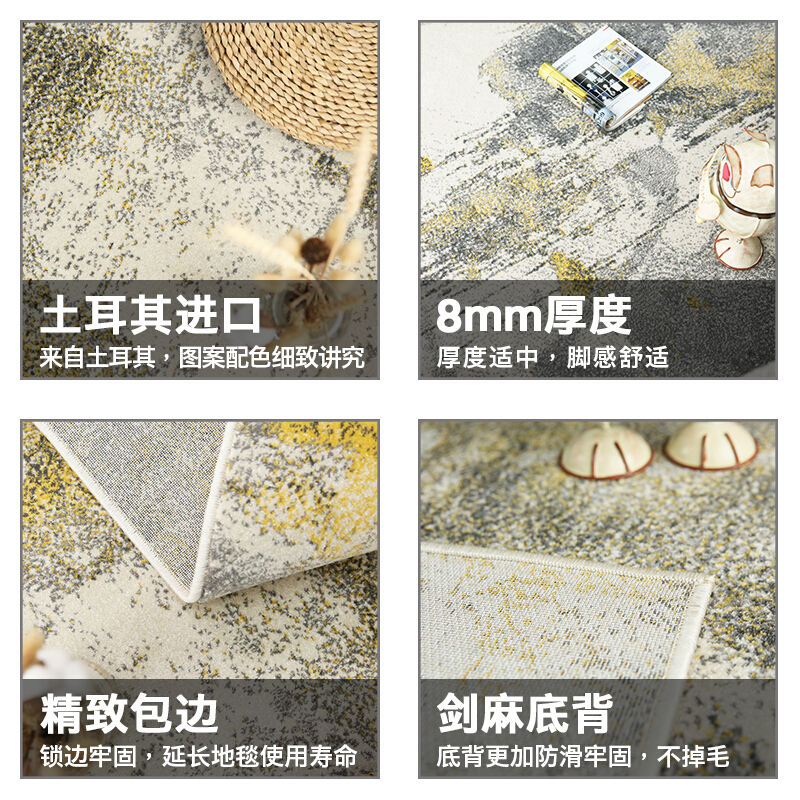 土耳其进口地毯简约现代欧式美式北欧风客厅茶几垫卧室床边满铺