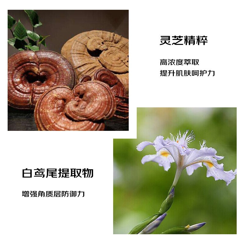 资生堂Shishedo 新红妍肌活精华露75ml红腰子精华修护维稳补水保湿去闭口