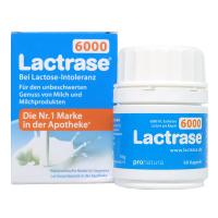 [2瓶装]德国进口乳糖酶(Lactrase)婴儿奶伴侣 调节肠胃宝宝乳糖不耐受吐奶腹泻 60粒/瓶
