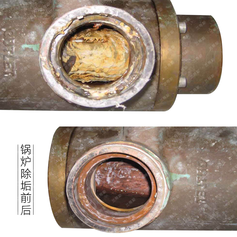 兰蒂斯工业锅炉除垢剂除水垢强力清除剂地暖清洁剂克垢循环水处理中央空调管道清洗剂
