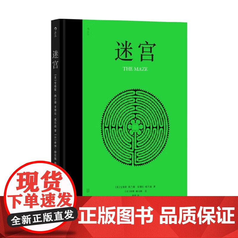 迷宫 安格斯·海兰德等 著 艺术