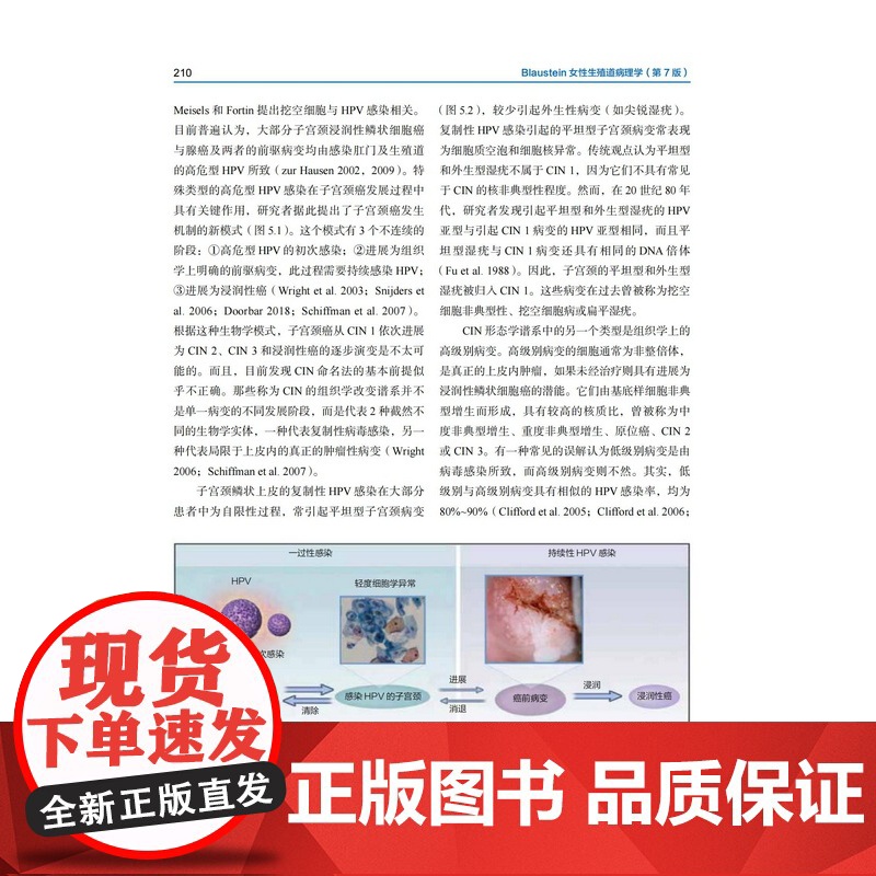 Blaustein女性生殖道病理学 第7版 妇科病理 医学教材 妇科书 教科书 北京科学技术高清大图