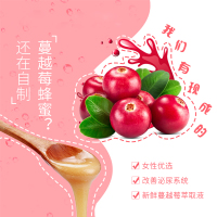 Streamland新溪岛蔓越莓味水果蜜 500g/瓶 进口蜂蜜 冲调饮品 新西兰进口