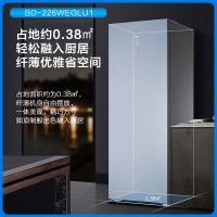 海尔(Haier)立式无霜冰柜一级能效电脑温控全温区冷藏冷冻保鲜-40度深冷速冻立式冷冻柜BD-226WEGLU1