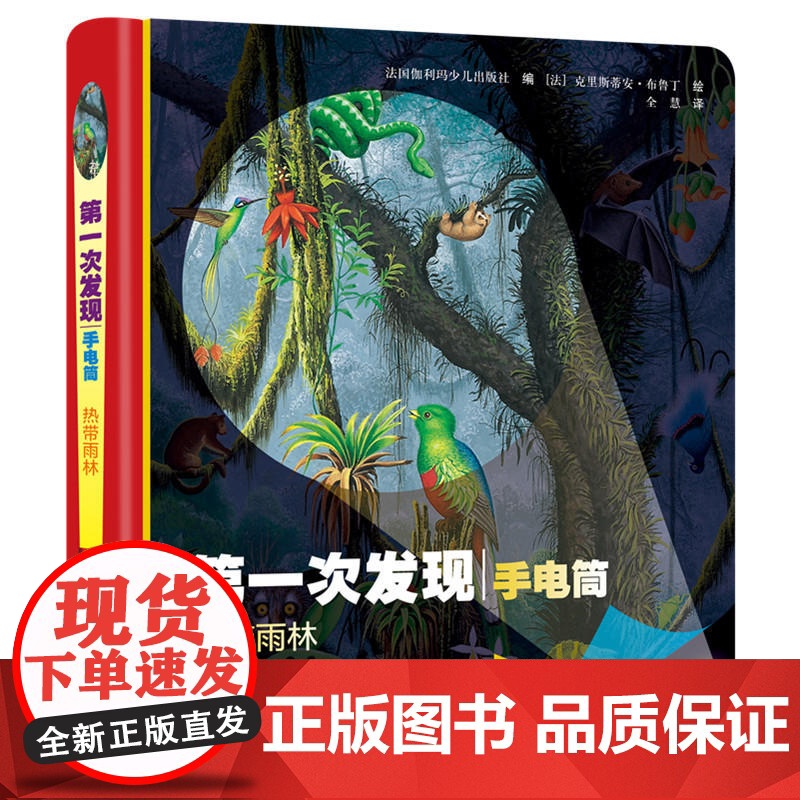 *次发现·手电筒:热带雨林(精装)高清大图