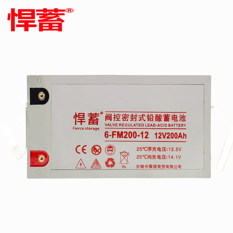 12V200AH阀控式铅酸蓄电池机房消防通讯EPS直流屏UPS电源6FM200-12高清大图