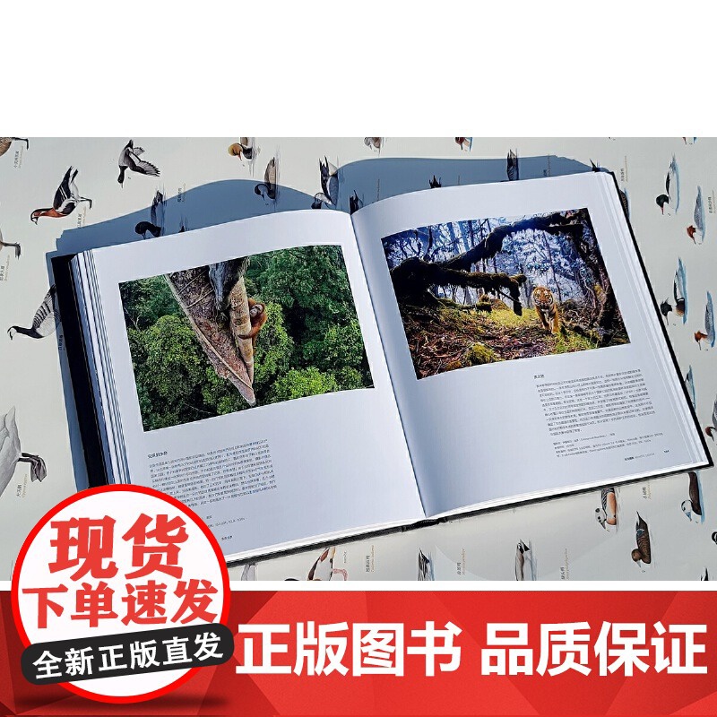 [央视网]生命之灵 国际野生生物摄影年赛55年精选作品集地球自然风光之美野生生物摄影艺术 中国国家地理实拍照片摄影书籍画高清大图