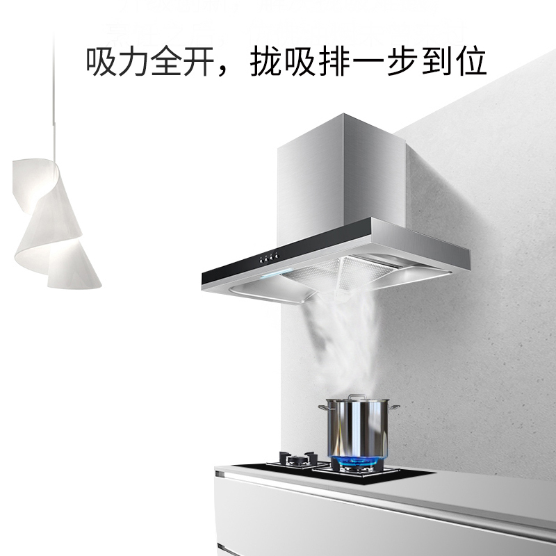 帅康(sacon)油烟机灶具套装抽油烟机燃气灶两件套17立方TE6709+35C厨卫厨房欧式吸油烟机煤气灶烟灶套餐液化气
