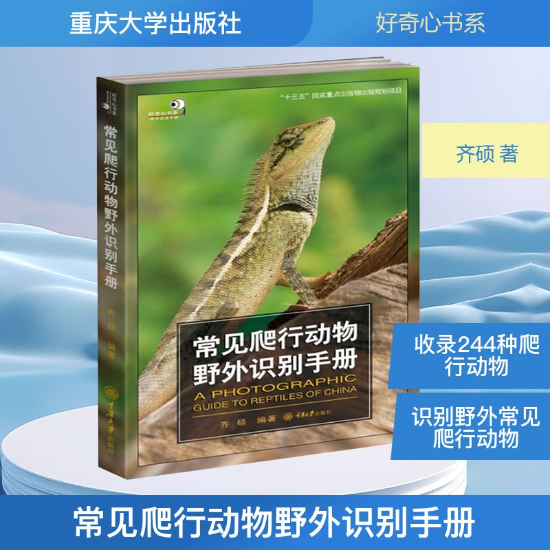 [M]常见爬行动物野外识别手册-9787568914864高清大图