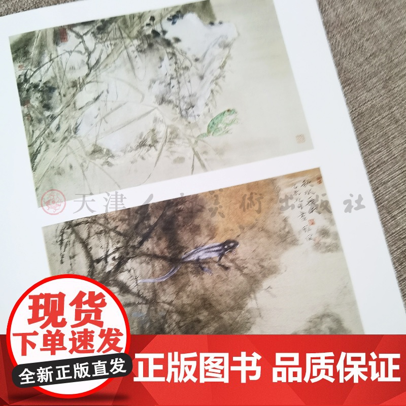 郑雅风 当代水墨画唯美新视界 /水墨花鸟画精品集/白描底稿画谱勾勒技法解析/国画花鸟水墨画临摹画册毛笔绘画入门基础教程高清大图