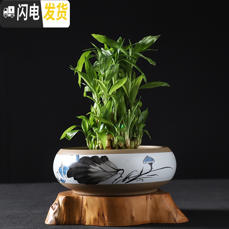 三维工匠水仙花盆陶瓷大口径无孔铜钱碗莲一叶莲室内大号水培盆 图片款式两个一组 大花盆容器高清大图