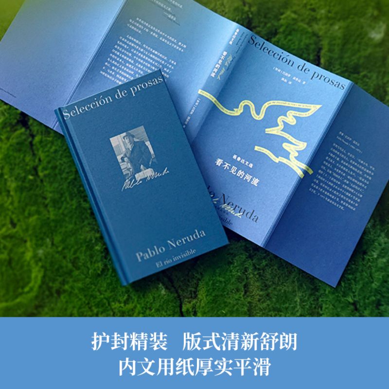 聂鲁达诗文集-看不见的河流:聂鲁达文选 [正版]聂鲁达诗文集 看不见的河流 聂鲁达文选 巴勃罗·聂鲁达 著 陈拓 译 外高清大图
