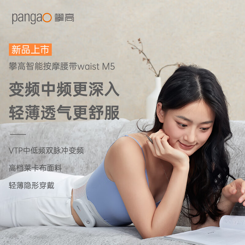攀高(PANGAO)腰部按摩器Waist M5生日礼物 腰部按摩仪中频轻薄版 送父母送长辈实用礼物高清大图