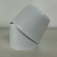 SPZC FS-10 1.65mm*50mm*3m 包带 (计价单位:卷) 白色