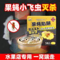 果蝇神器诱粘剂灭果蝇室内厨房水果店专用灭杀虫除去小飞虫诱捕器 50g