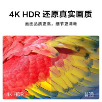 创维（Skyworth） 65闪电侠 65英寸彩电4K超高清人工智能HDR 智能网络WiFi互联网平板电视M9