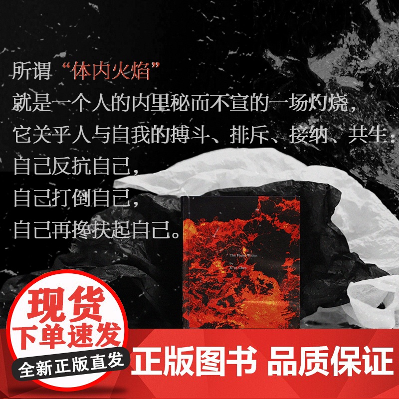 体内火焰 陈思安 当代世界出版社 正版书籍高清大图
