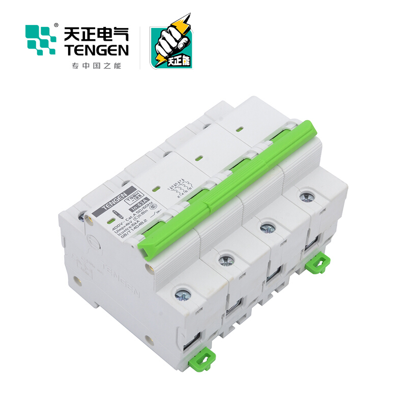 天正电气瑞彩系列TGBH-125 空气开关 6KA 4P C 100A 335013800251 微型断路器