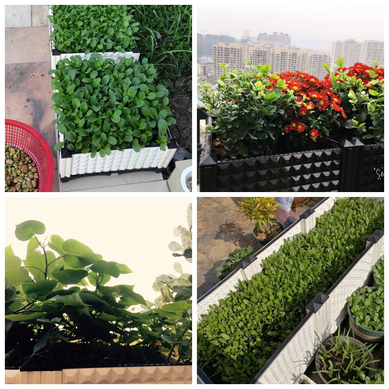 美帮汇超深阳台种菜盆长方形种植箱特大塑料花盆家用种菜箱楼顶花高清大图