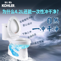 [年货节]科勒马桶艾黛儿连体连体座便器虹吸式卫生间抽水坐便器缓降盖5171