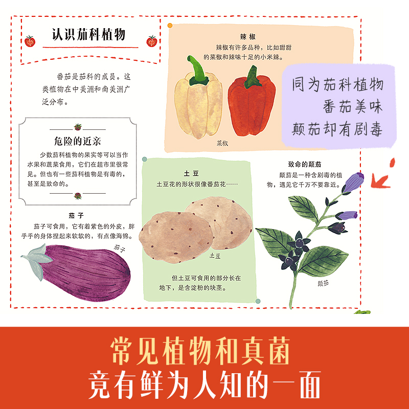 万物生长 平凡日常里的非凡植物 [正版] 万物生长 平凡日常里的非凡植物 科普阅读 小学生一二三年级课外阅读读物 趣味高清大图