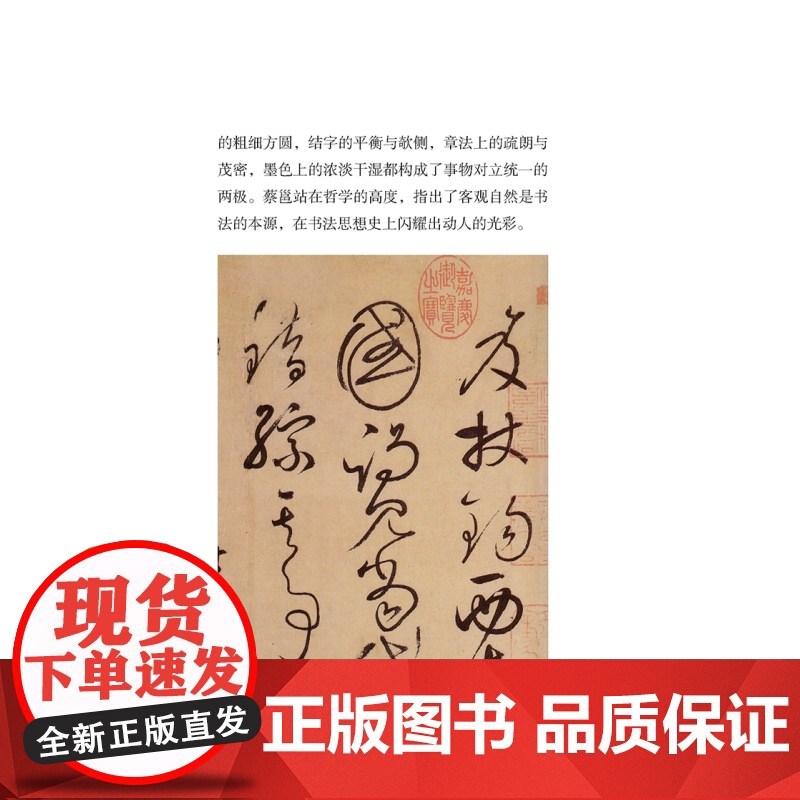 正版 汉唐宋元书论赏读 书法理论 碑帖书法插图 古代书法理论技法书籍 中国近代书画篆刻艺术史 上海人民美术出版社高清大图