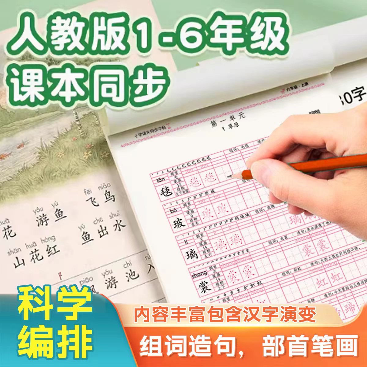 一年级 小学通用 [正版]小学语文同步字帖 小学一二三四五六年级人教版 年级可选 标准正楷字帖 练书法 组词造句部首笔画高清大图
