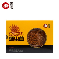 粤微牌 蛹虫草北虫草干货孢子头80克/盒*1盒 食用菌健康食品