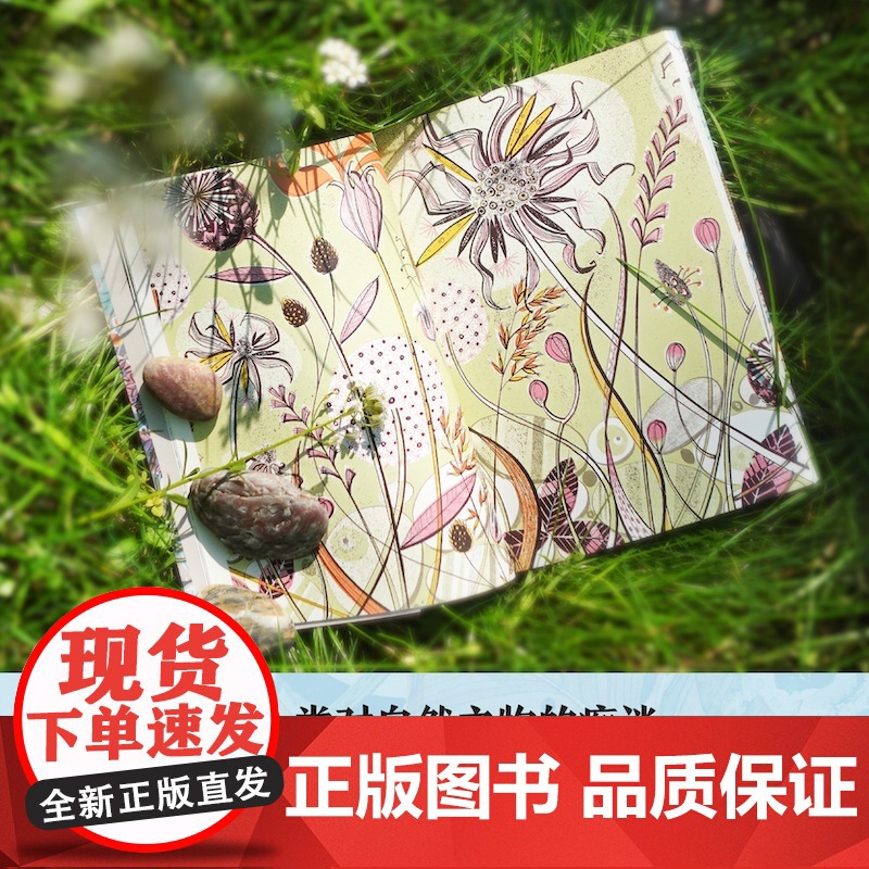 [天际线]卵石之书 收录艺术家安吉•莱温创作的一系列版画 全彩印刷含44幅彩色版画和水彩画 译林正版高清大图